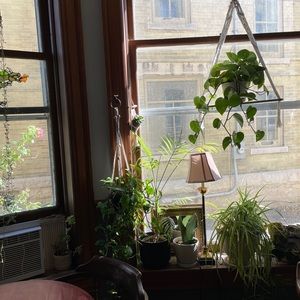 Meet your Posher, Ava